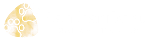 Ranthambore Safari Trails